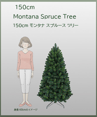 サイズイメージ
